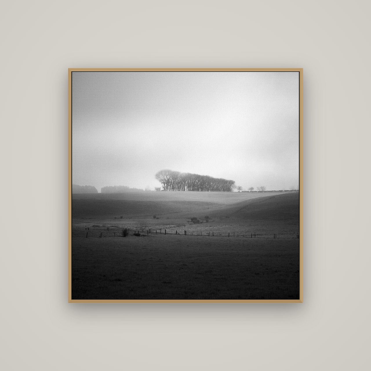 Misty Horizon, Waikato, Basel Natural Oak, 100×100 cm. New Zealand fine art wall art by Stephen Milner.