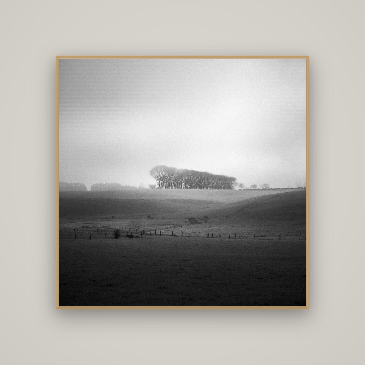 Misty Horizon, Waikato, Basel Natural Oak, 120×120 cm. New Zealand fine art wall art by Stephen Milner.