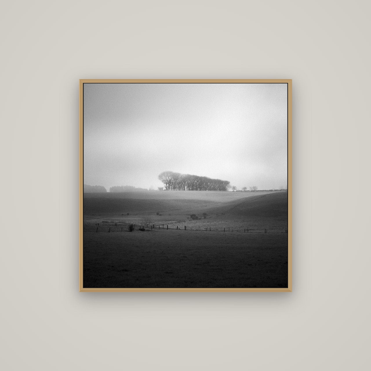 Misty Horizon, Waikato, Basel Natural Oak, 80×80 cm. New Zealand fine art wall art by Stephen Milner.