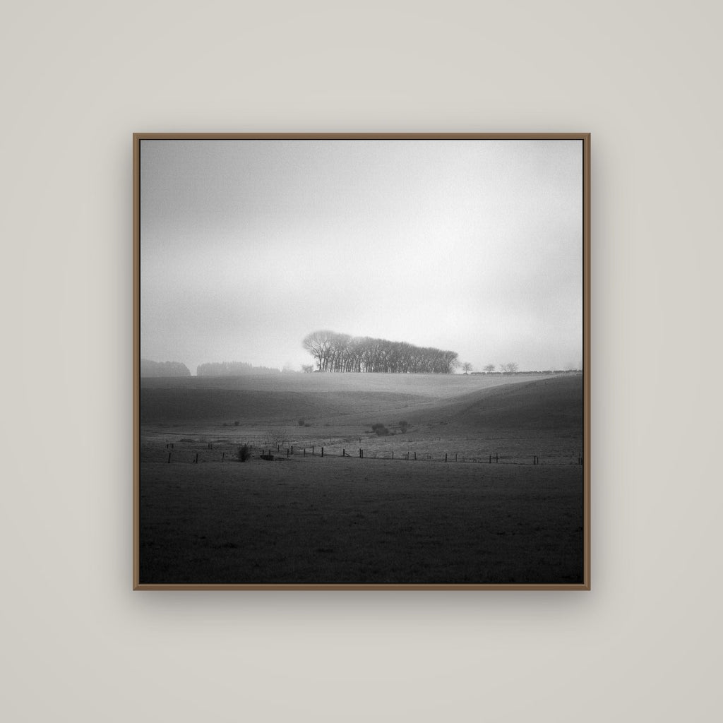 Misty Horizon, Waikato, Basel Walnut, 100×100 cm. New Zealand fine art wall art by Stephen Milner.