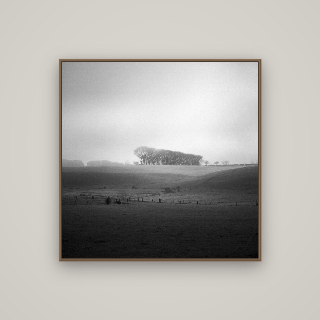 Misty Horizon, Waikato, Basel Walnut, 100×100 cm. New Zealand fine art wall art by Stephen Milner.
