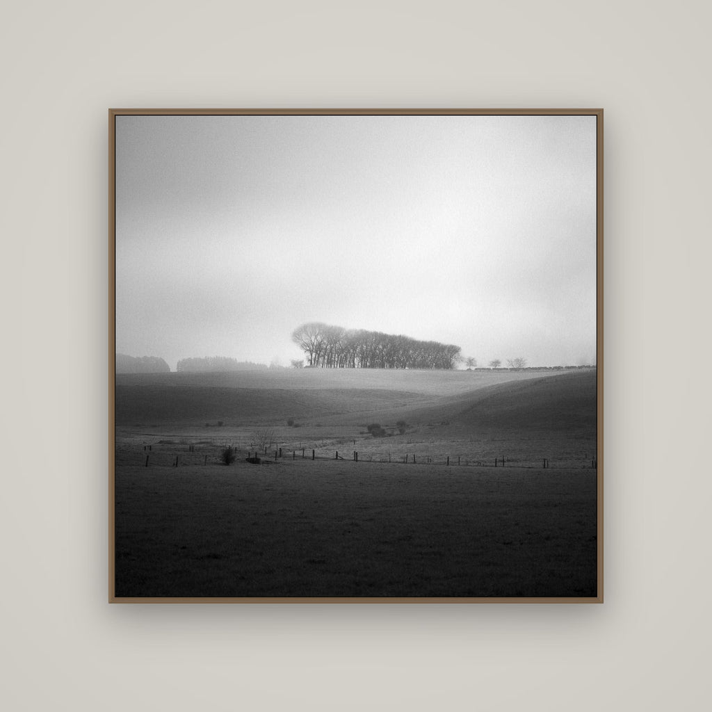 Misty Horizon, Waikato, Basel Walnut, 120×120 cm. New Zealand fine art wall art by Stephen Milner.