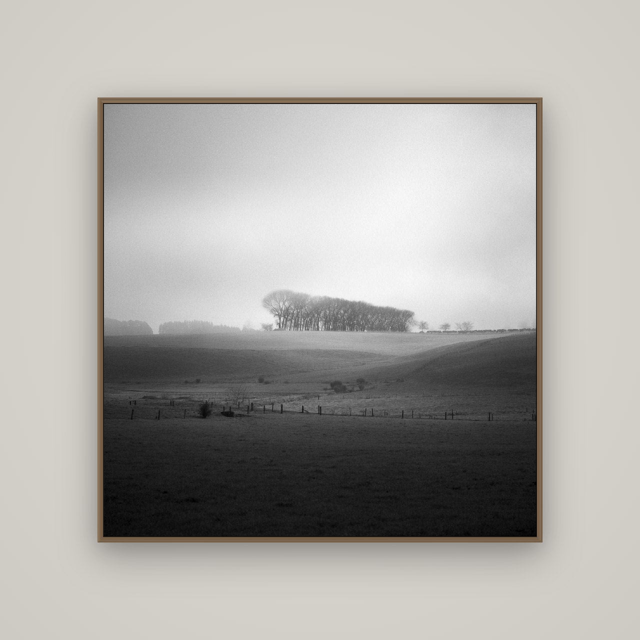 Misty Horizon, Waikato, Basel Walnut, 120×120 cm. New Zealand fine art wall art by Stephen Milner.