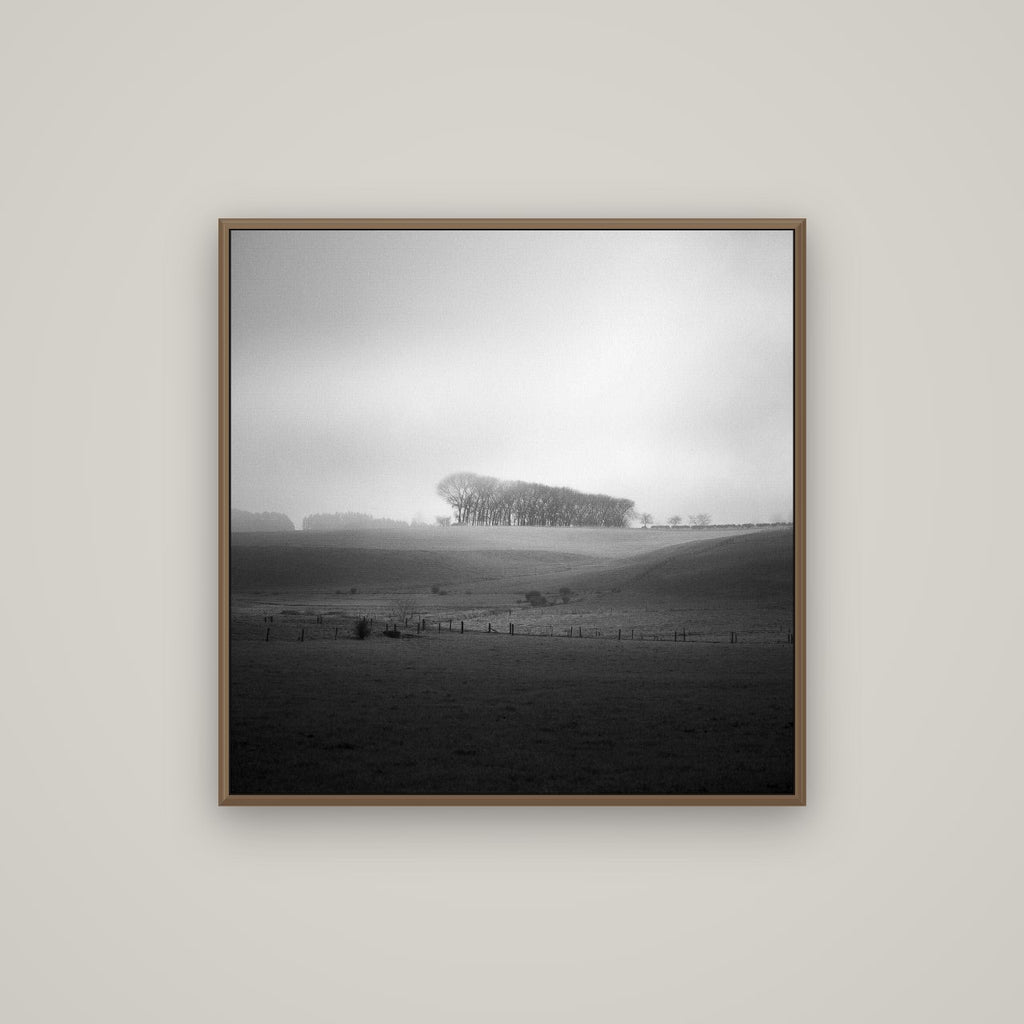 Misty Horizon, Waikato, Basel Walnut, 80×80 cm. New Zealand fine art wall art by Stephen Milner.
