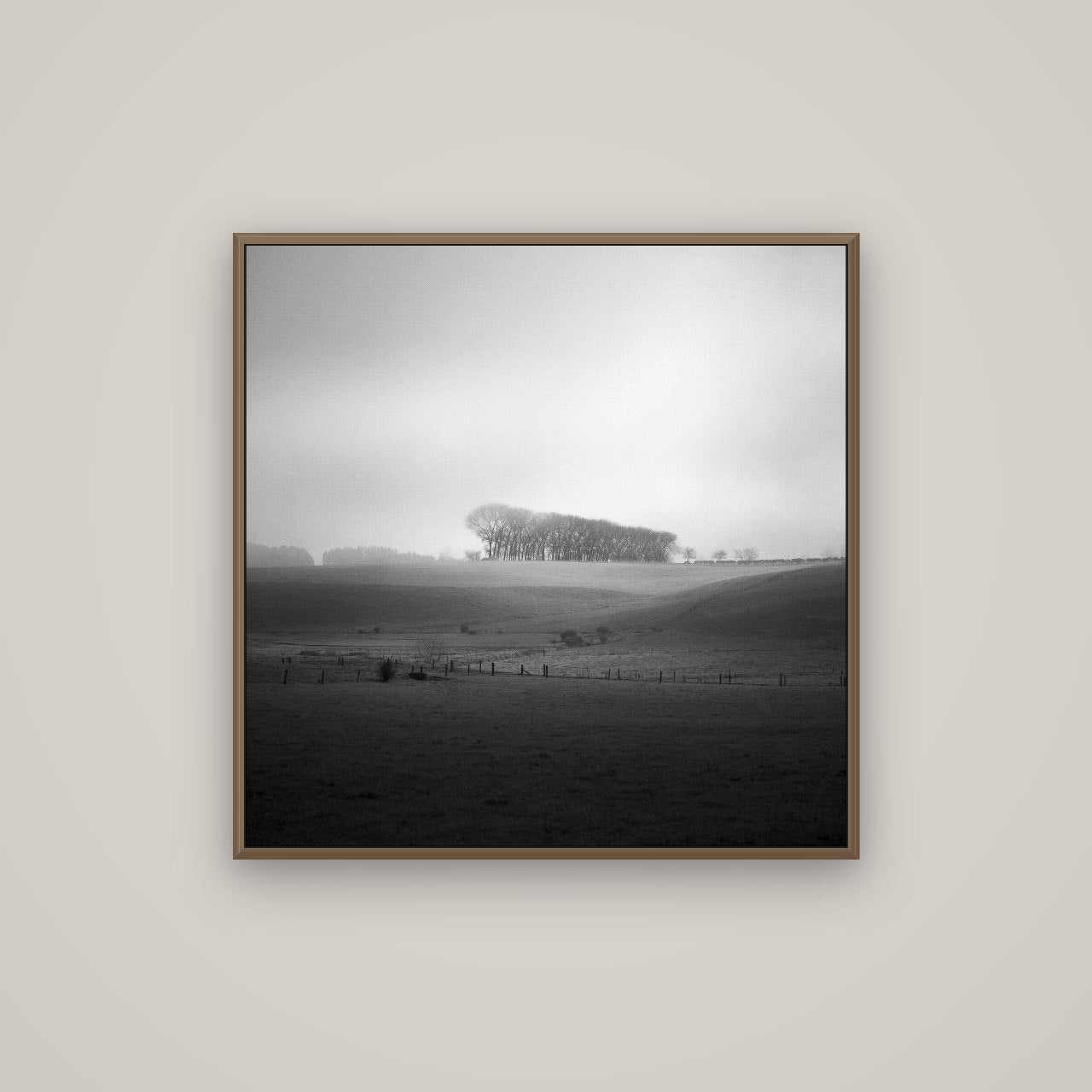 Misty Horizon, Waikato, Basel Walnut, 80×80 cm. New Zealand fine art wall art by Stephen Milner.