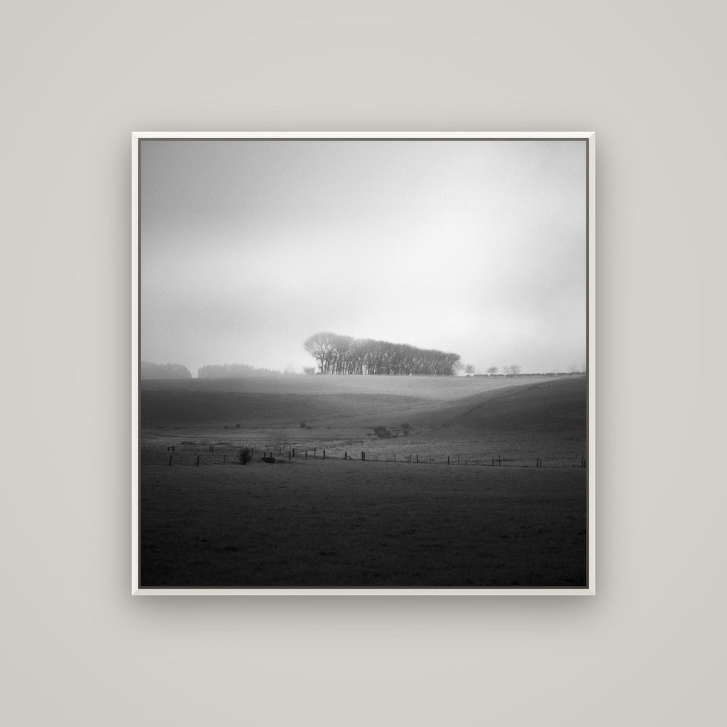 Misty Horizon, Waikato — Basel White, 100×100 cm. New Zealand fine art wall art by Stephen Milner.