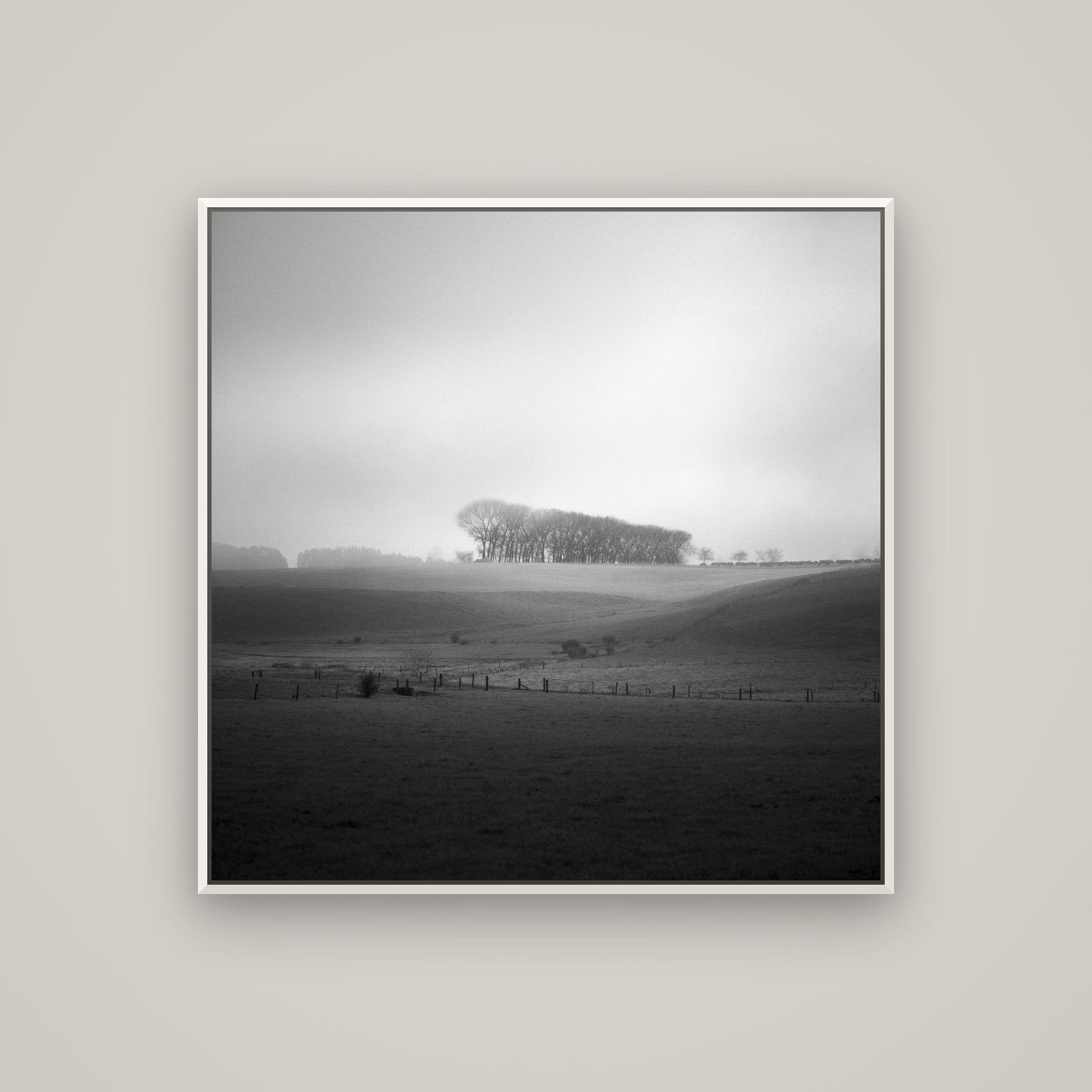 Misty Horizon, Waikato — Basel White, 100×100 cm. New Zealand fine art wall art by Stephen Milner.