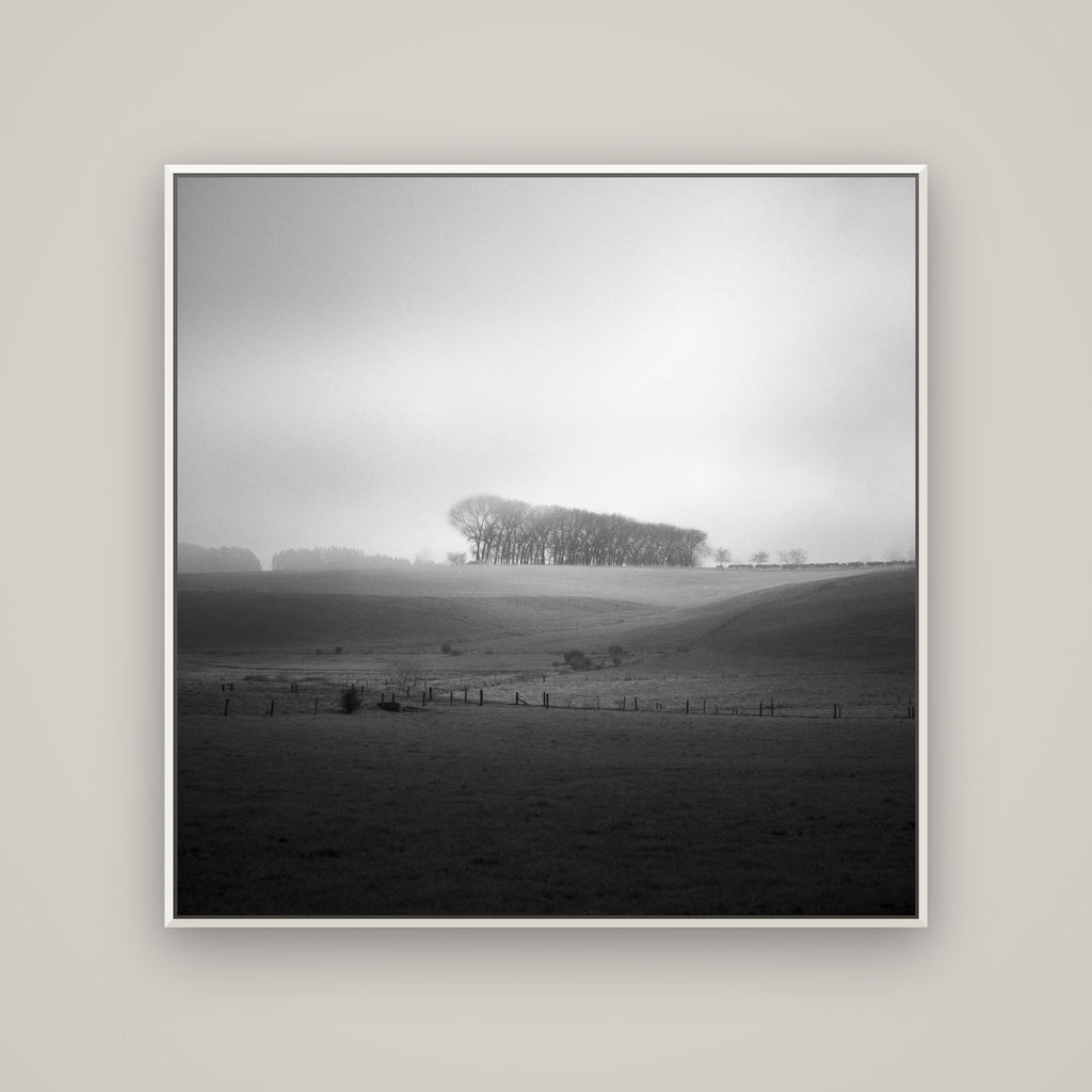 Misty Horizon, Waikato — Basel White, 120×120 cm. New Zealand fine art wall art by Stephen Milner.