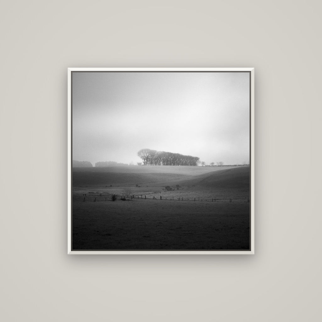 Misty Horizon, Waikato — Basel White, 80×80 cm. New Zealand fine art wall art by Stephen Milner.