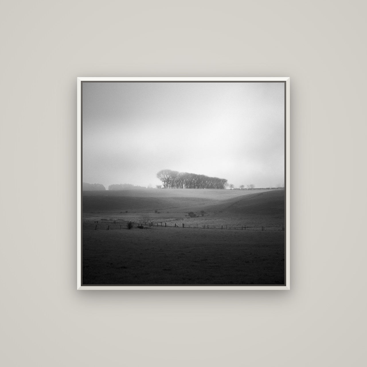 Misty Horizon, Waikato — Basel White, 80×80 cm. New Zealand fine art wall art by Stephen Milner.