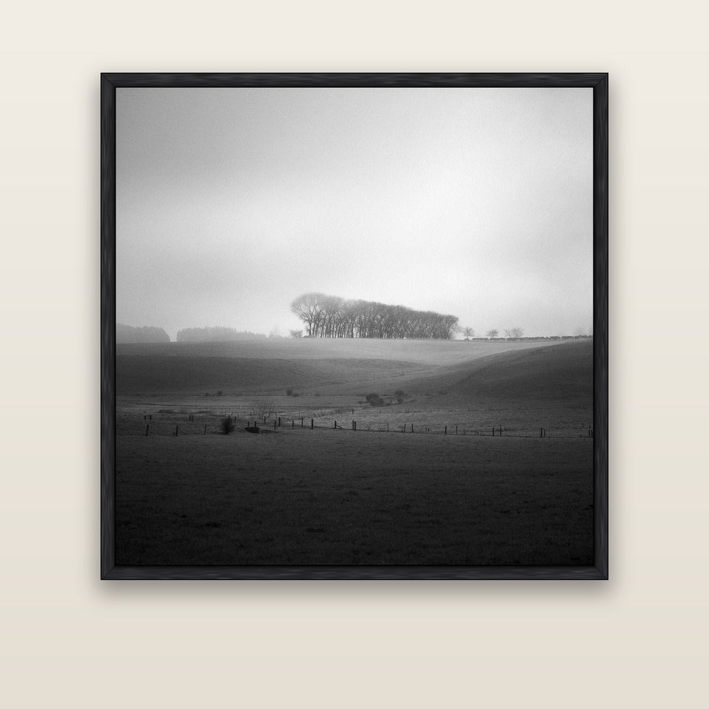 Misty Horizon, Waikato — black float frame canvas, 133 × 133 cm. New Zealand fine art landscape wall art by Stephen Milner.