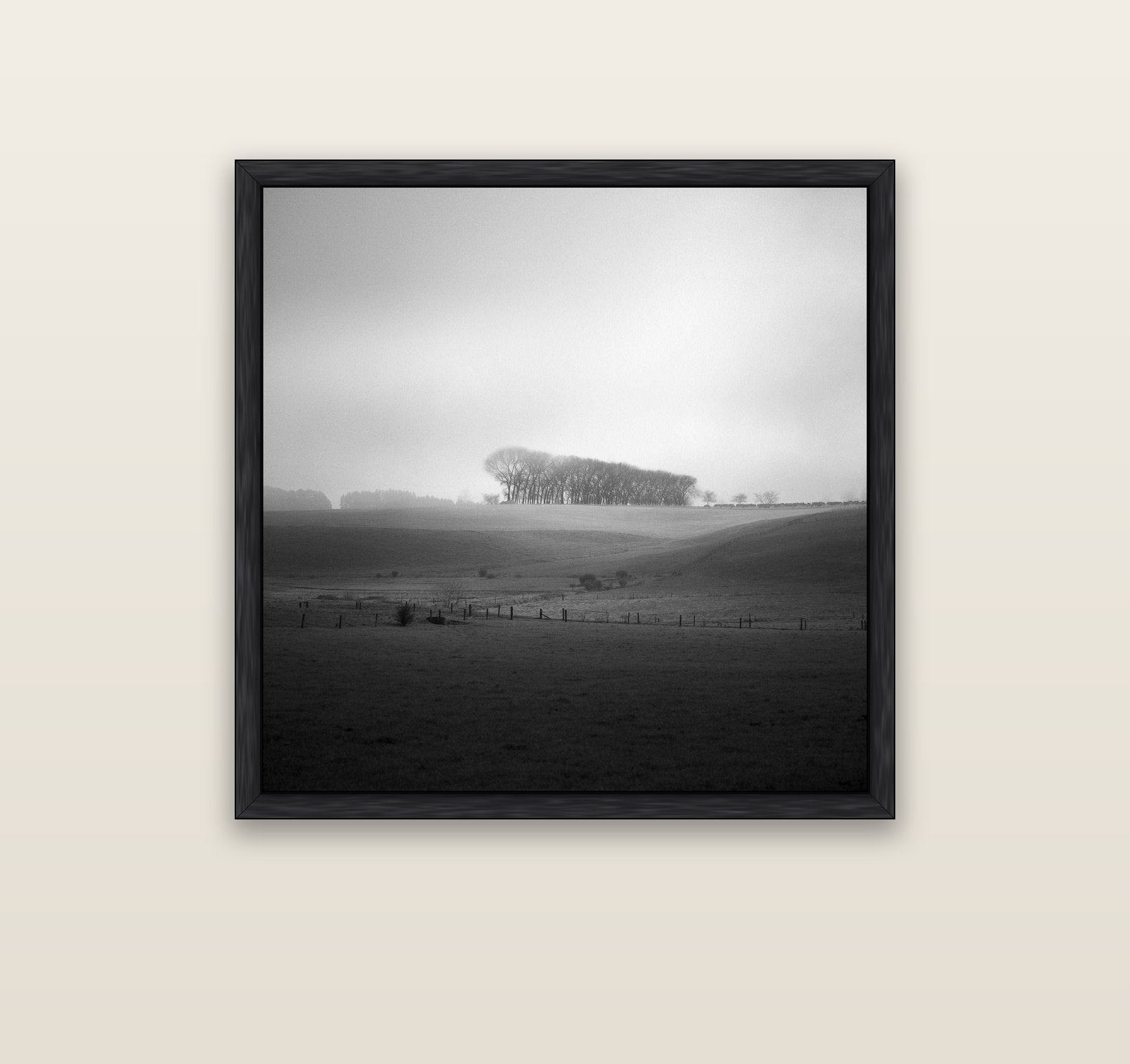 Misty Horizon, Waikato — black float frame canvas, 91 × 91 cm. New Zealand fine art landscape wall art by Stephen Milner.