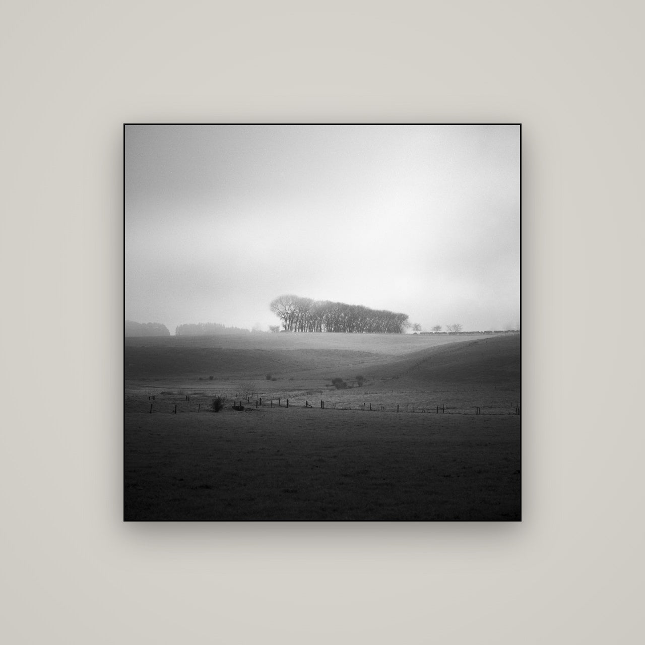 Misty Horizon, Waikato — Slimline Black, 100×100 cm. New Zealand fine art wall art by Stephen Milner.