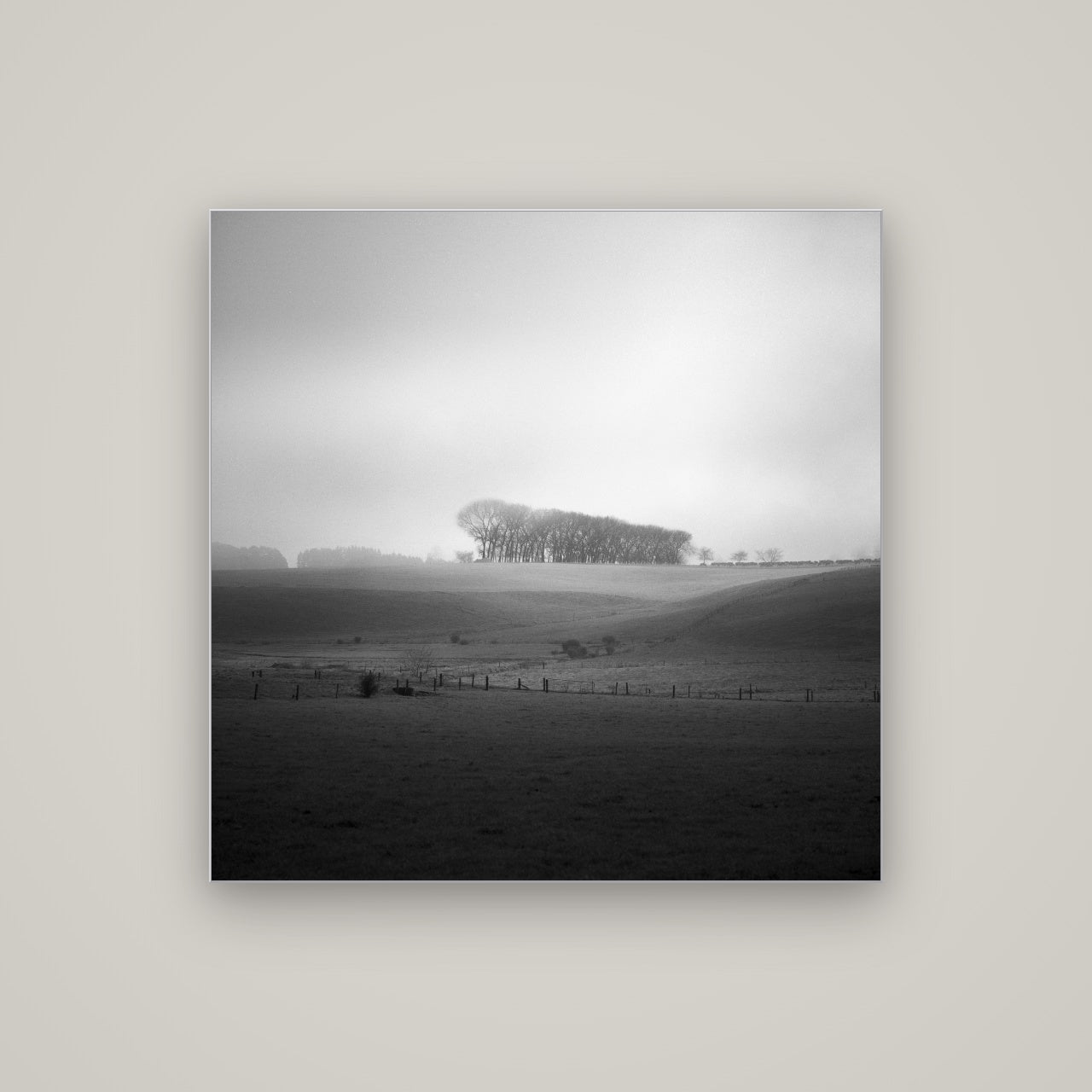 Misty Horizon, Waikato — Slimline Silver, 100×100 cm. New Zealand fine art wall art by Stephen Milner.