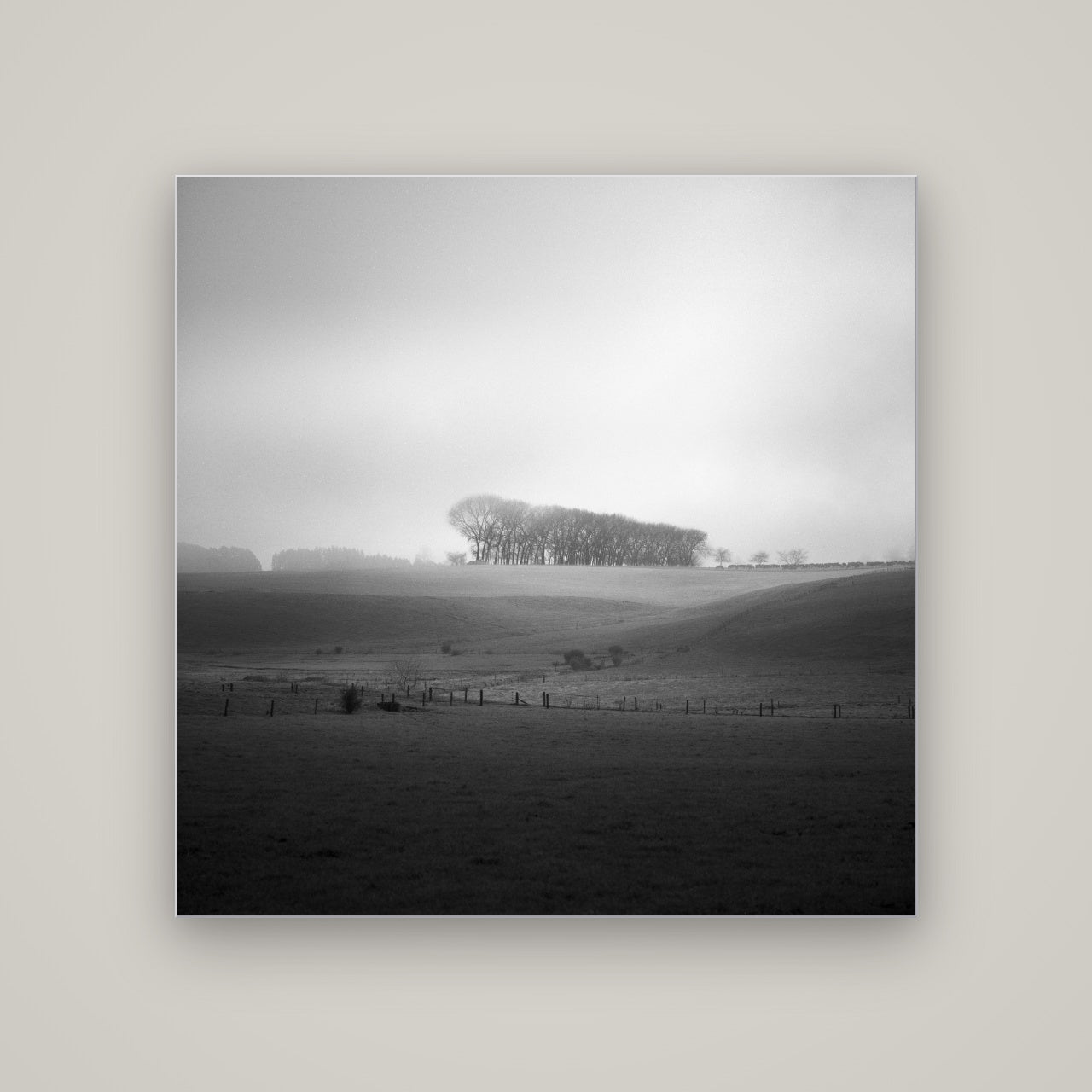 Misty Horizon, Waikato — Slimline Silver, 120×120 cm. New Zealand fine art wall art by Stephen Milner.