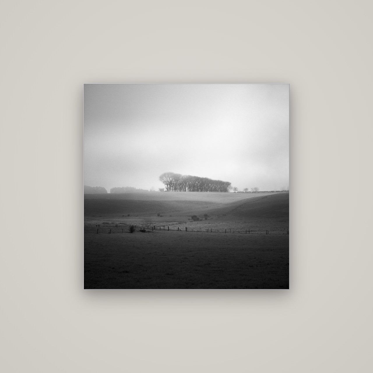 Misty Horizon, Waikato — Slimline Silver, 80×80 cm. New Zealand fine art wall art by Stephen Milner.