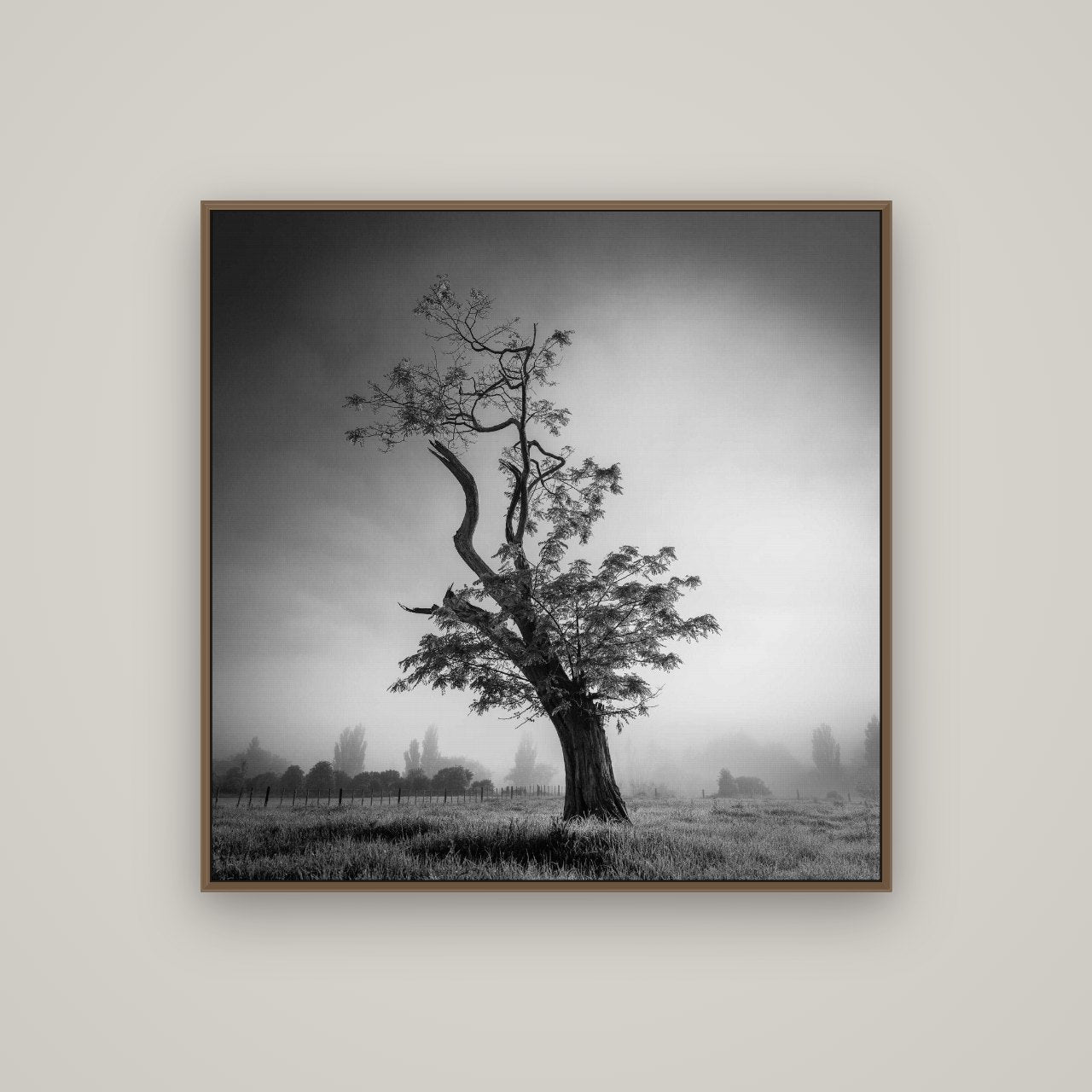 Misty Sentinel, Waikato, Basel Walnut, 100×100 cm. New Zealand fine art wall art by Stephen Milner.