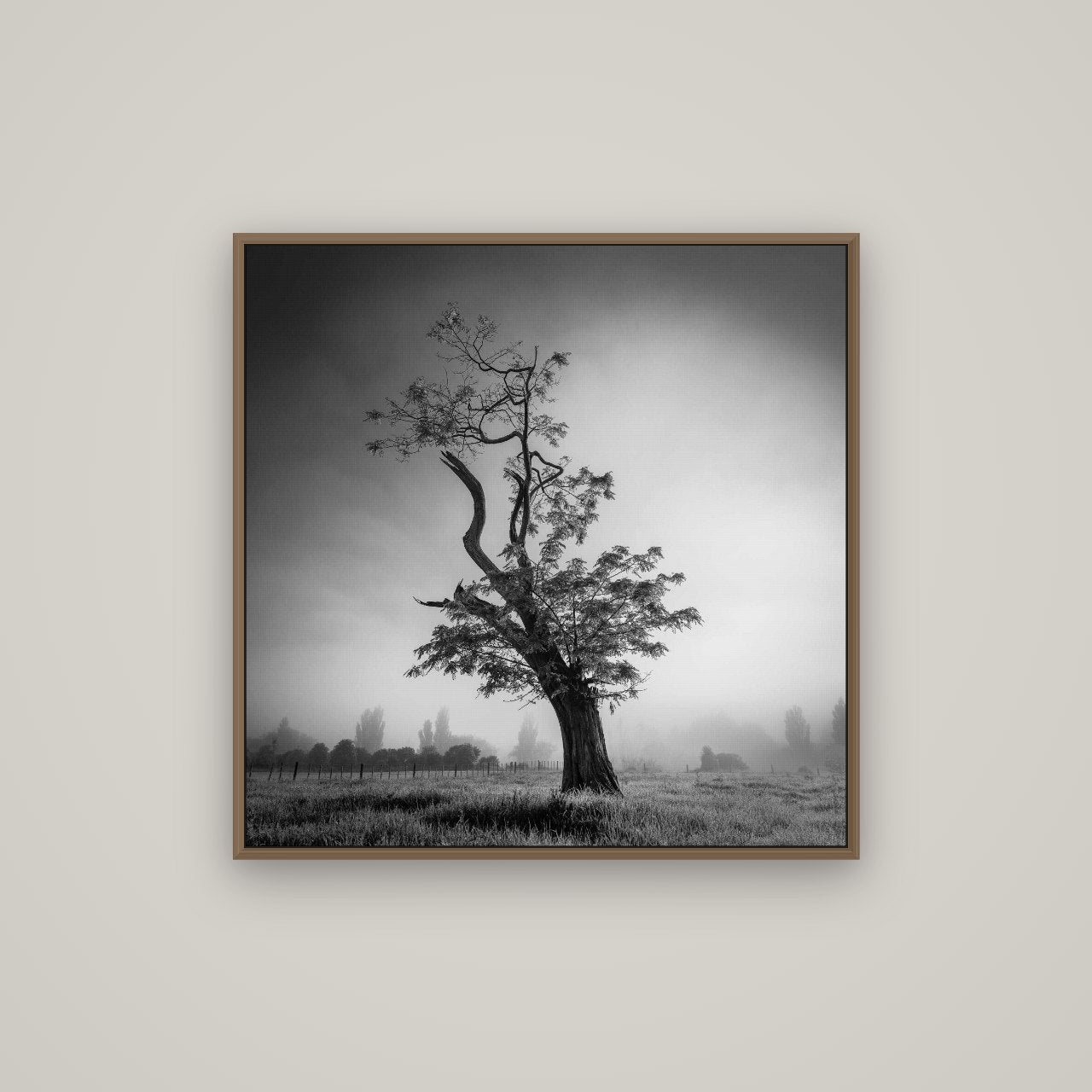 Misty Sentinel, Waikato, Basel Walnut, 80×80 cm. New Zealand fine art wall art by Stephen Milner.