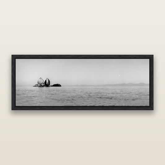 Moonlit Serenity, Split Apple's Secret, black and white framed metallic canvas print, Black frame. New Zealand fine art wall art by Stephen Milner.