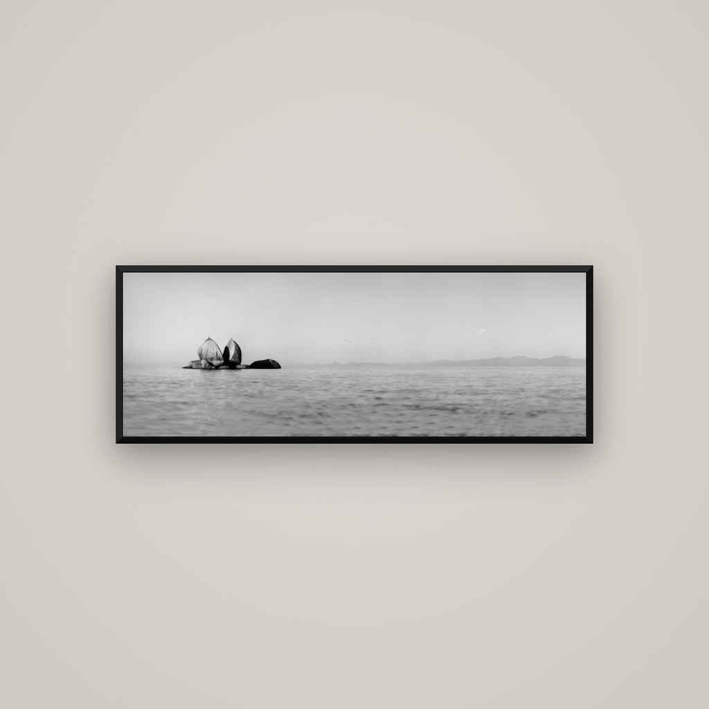 Moonlit Serenity, Split Apple's Secret — Basel Black Matte, 113×40 cm. New Zealand fine art wall art by Stephen Milner.
