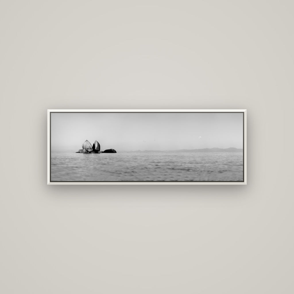 Moonlit Serenity, Split Apple's Secret — Basel White, 113×40 cm. New Zealand fine art wall art by Stephen Milner.