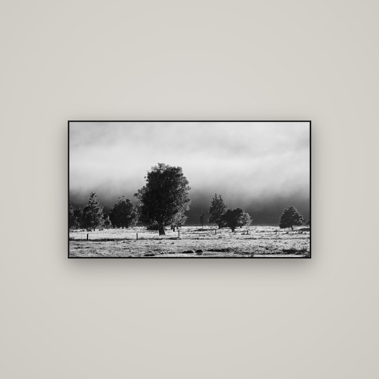 Morning Mist, Fox Valley — ArtBox Black, 107×60 cm. New Zealand fine art wall art by Stephen Milner.