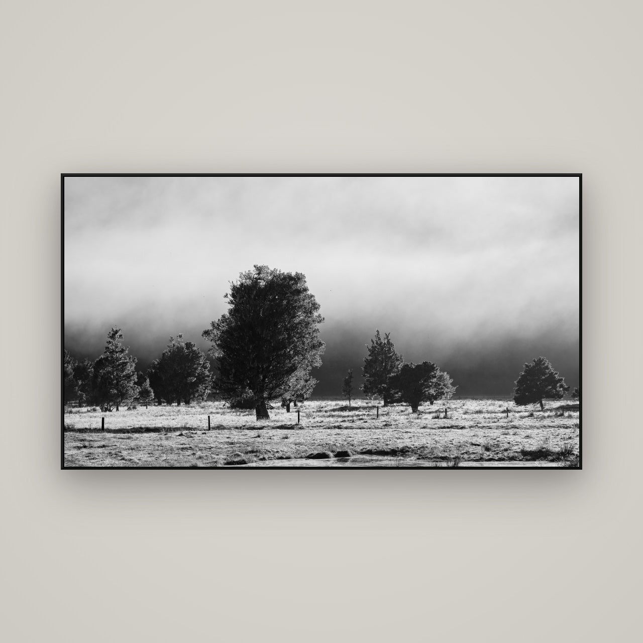 Morning Mist, Fox Valley — ArtBox Black, 160×90 cm. New Zealand fine art wall art by Stephen Milner.