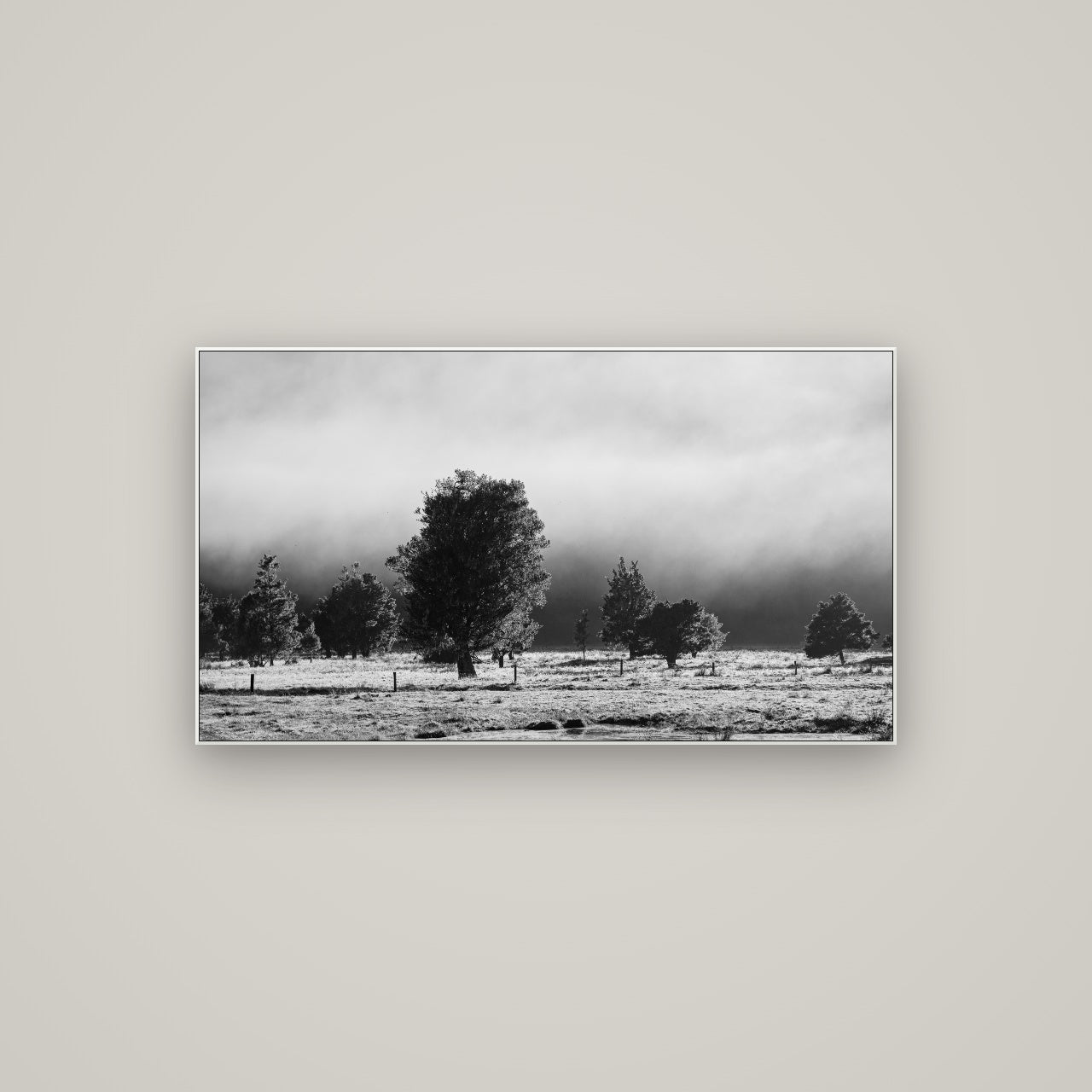 Morning Mist, Fox Valley — ArtBox White, 107×60 cm. New Zealand fine art wall art by Stephen Milner.