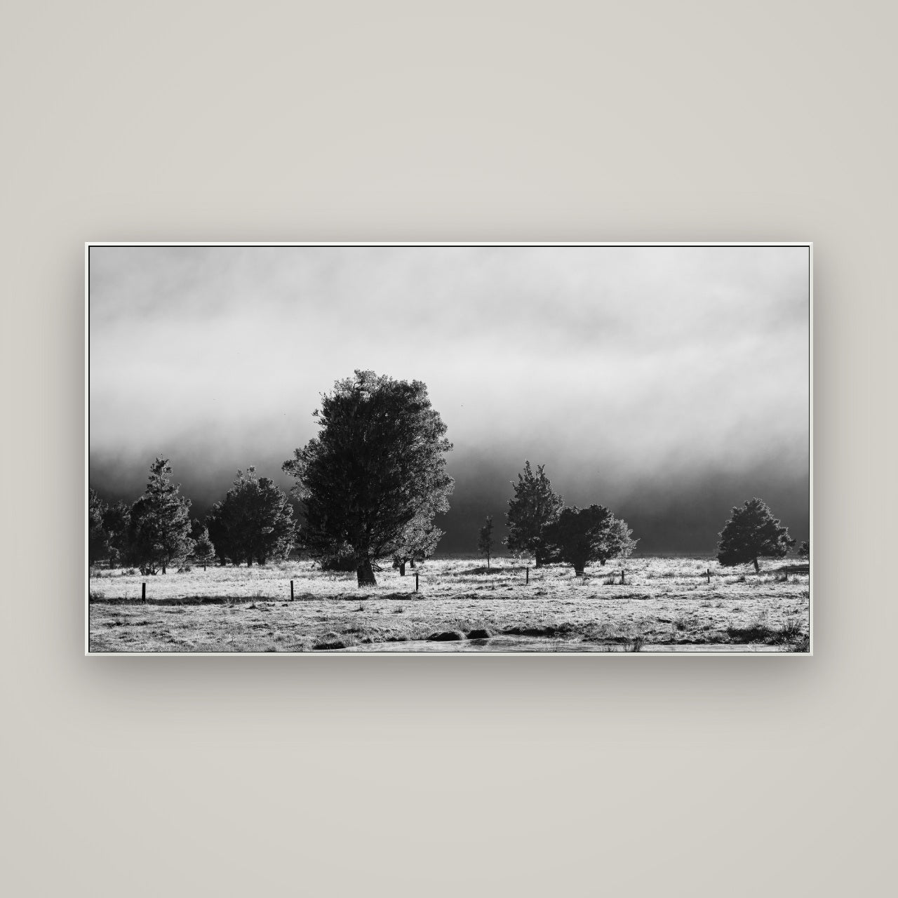 Morning Mist, Fox Valley — ArtBox White, 160×90 cm. New Zealand fine art wall art by Stephen Milner.