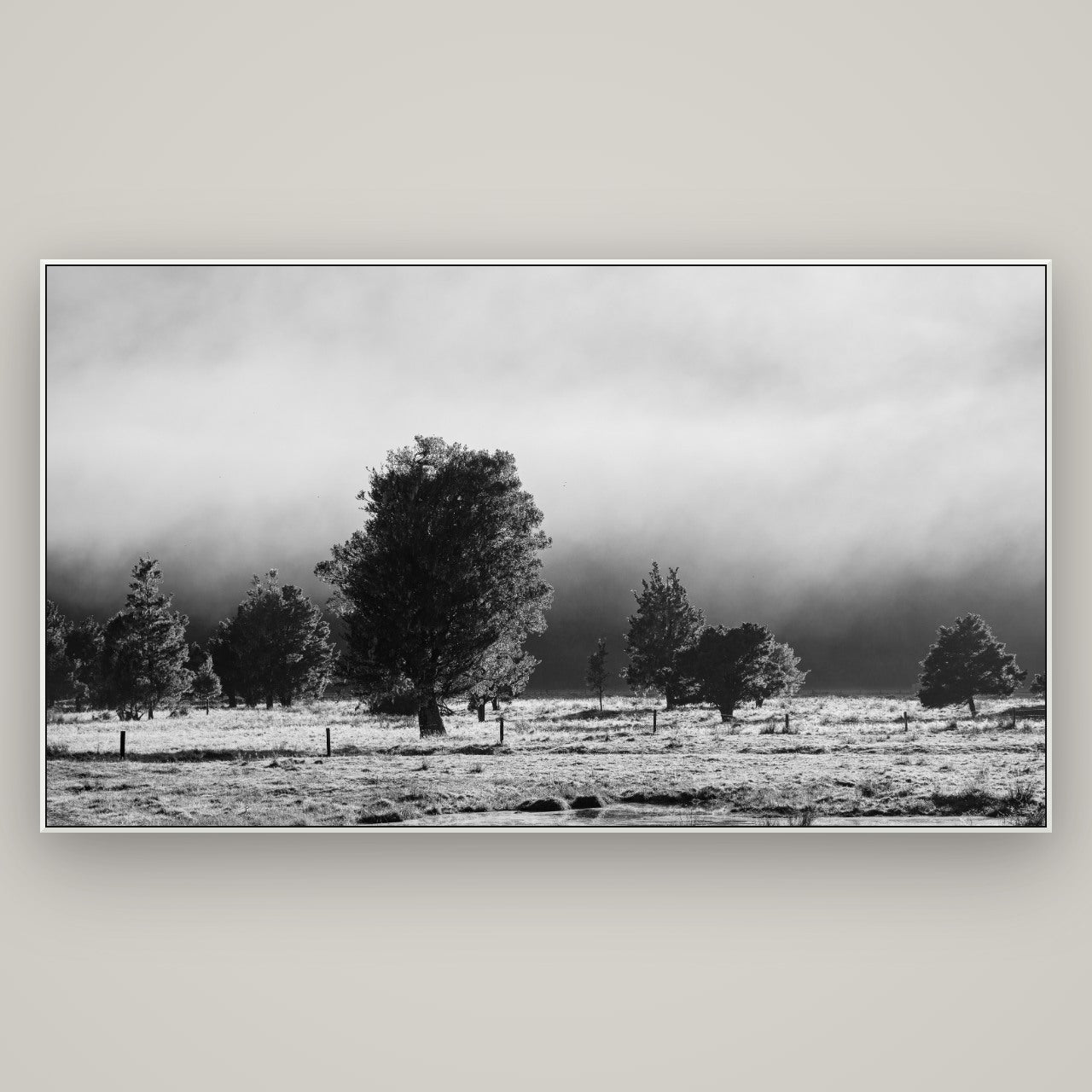 Morning Mist, Fox Valley — ArtBox White, 196×110 cm. New Zealand fine art wall art by Stephen Milner.