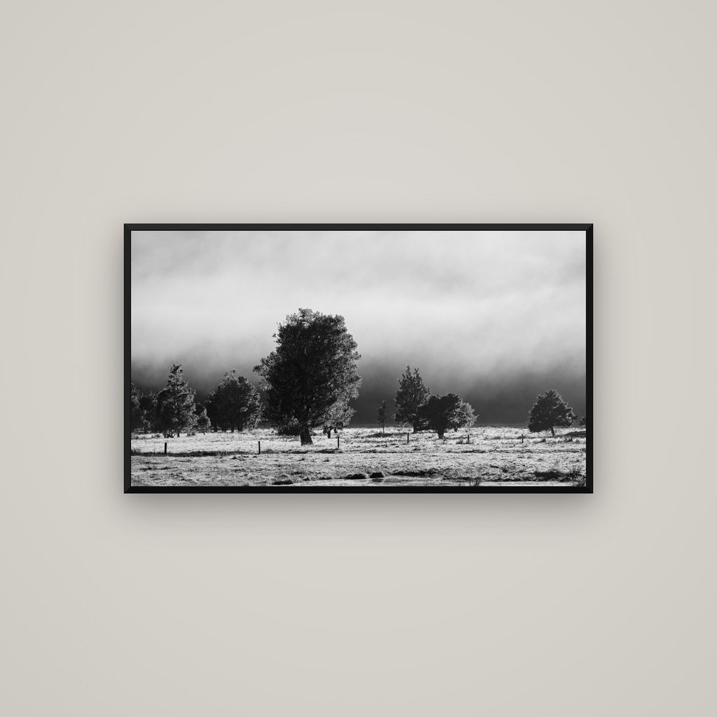 Morning Mist, Fox Valley — Basel Black Matte, 107×60 cm. New Zealand fine art wall art by Stephen Milner.