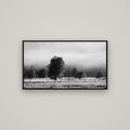 Morning Mist, Fox Valley — Basel Black, 107×60 cm. New Zealand fine art wall art by Stephen Milner.