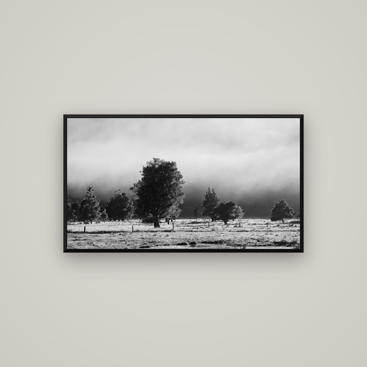 Morning Mist, Fox Valley — Basel Black, 107×60 cm. New Zealand fine art wall art by Stephen Milner.
