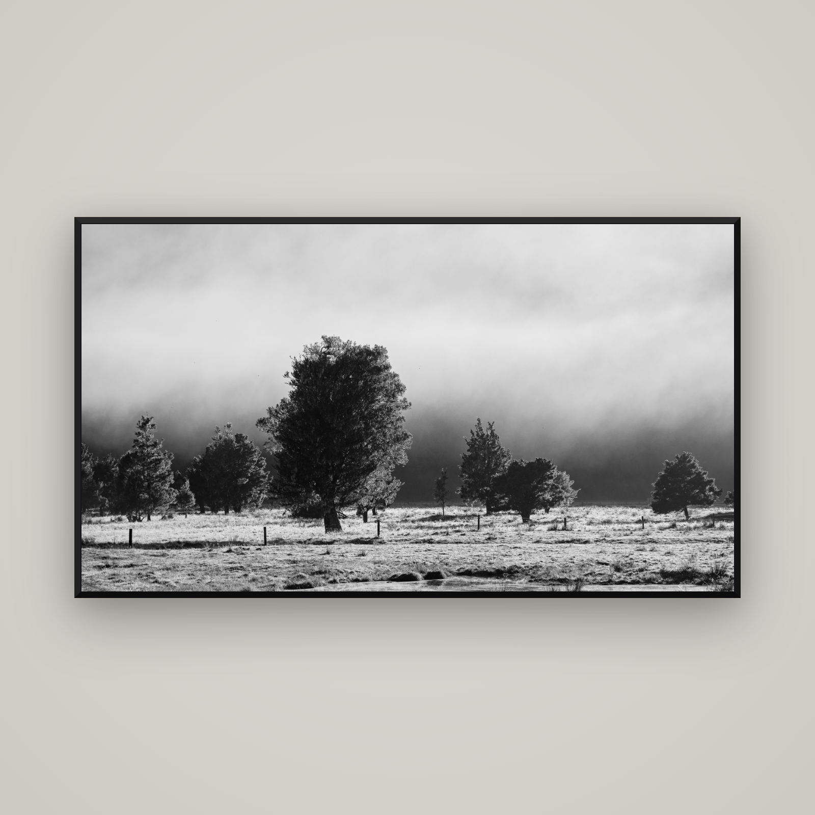 Morning Mist, Fox Valley — Basel Black Matte, 160×90 cm. New Zealand fine art wall art by Stephen Milner.