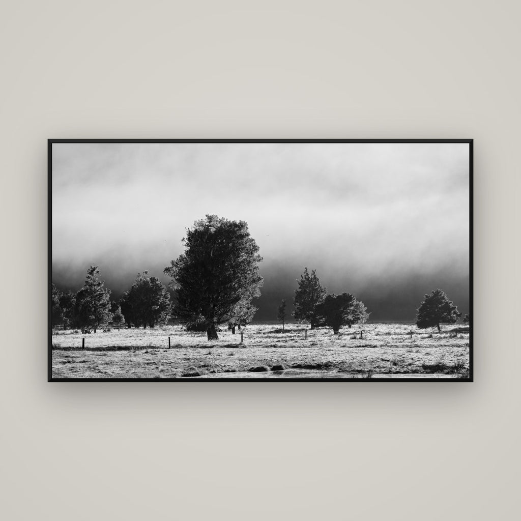 Morning Mist, Fox Valley — Basel Black Matte, 160×90 cm. New Zealand fine art wall art by Stephen Milner.