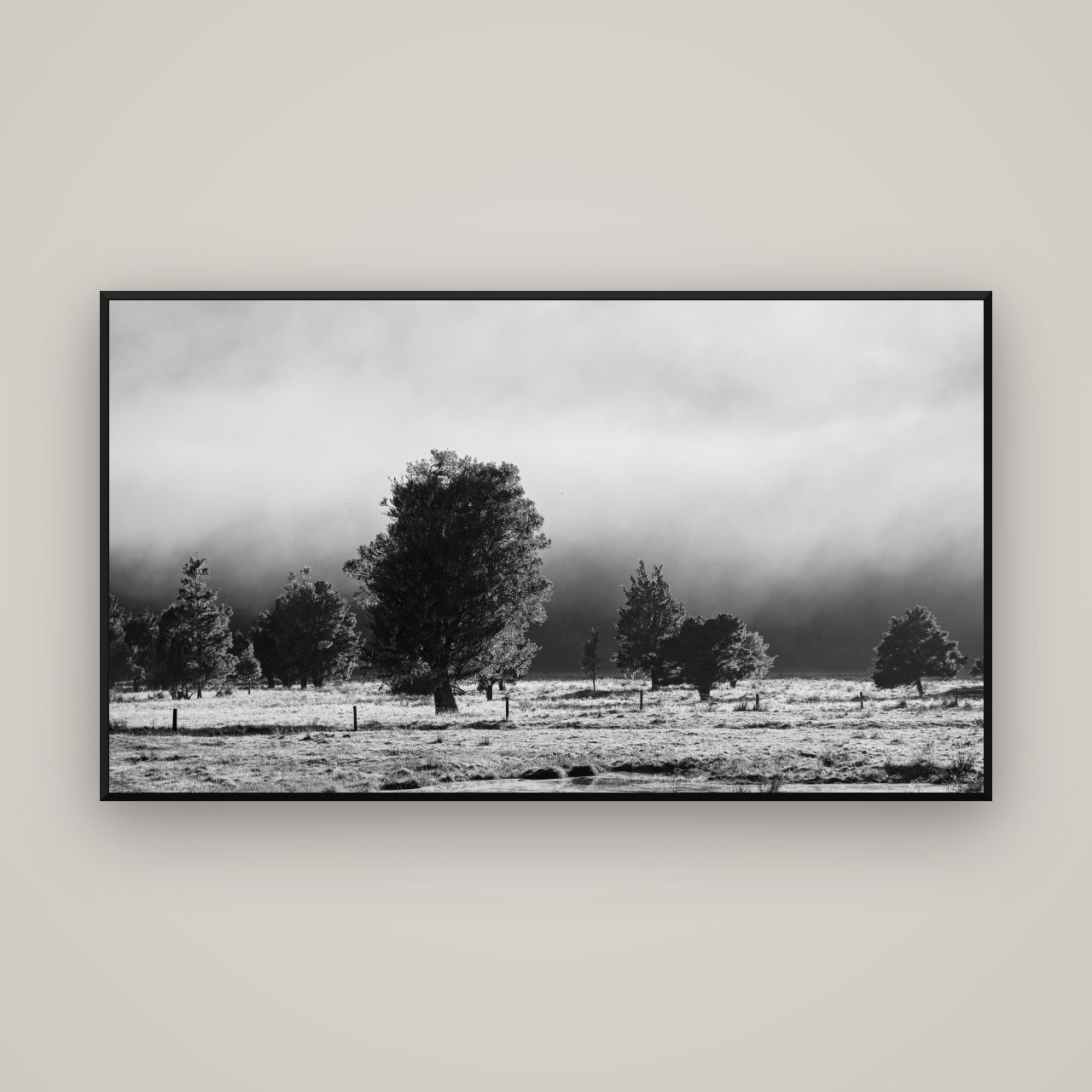 Morning Mist, Fox Valley — Basel Black, 160×90 cm. New Zealand fine art wall art by Stephen Milner.