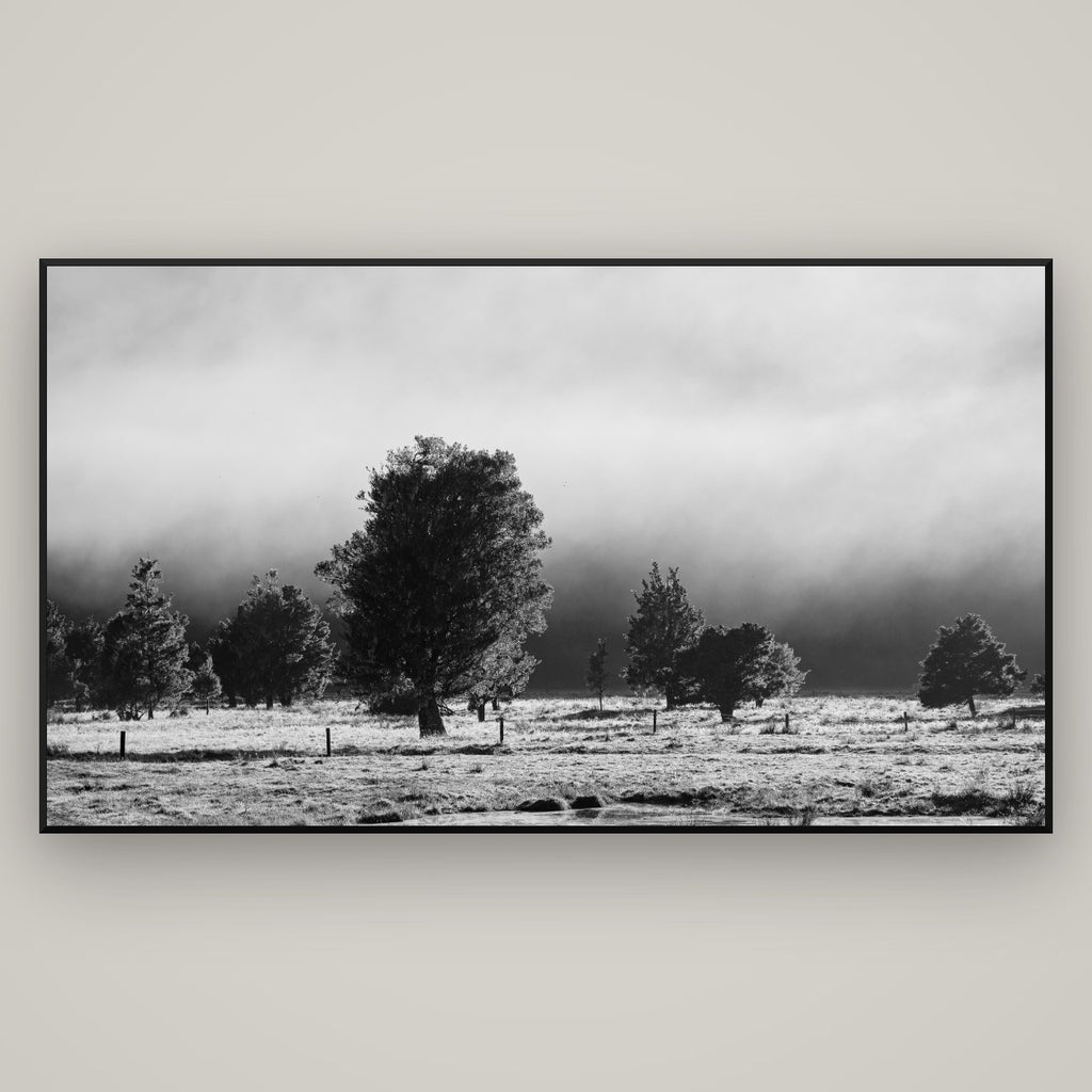 Morning Mist, Fox Valley — Basel Black Matte, 196×110 cm. New Zealand fine art wall art by Stephen Milner.