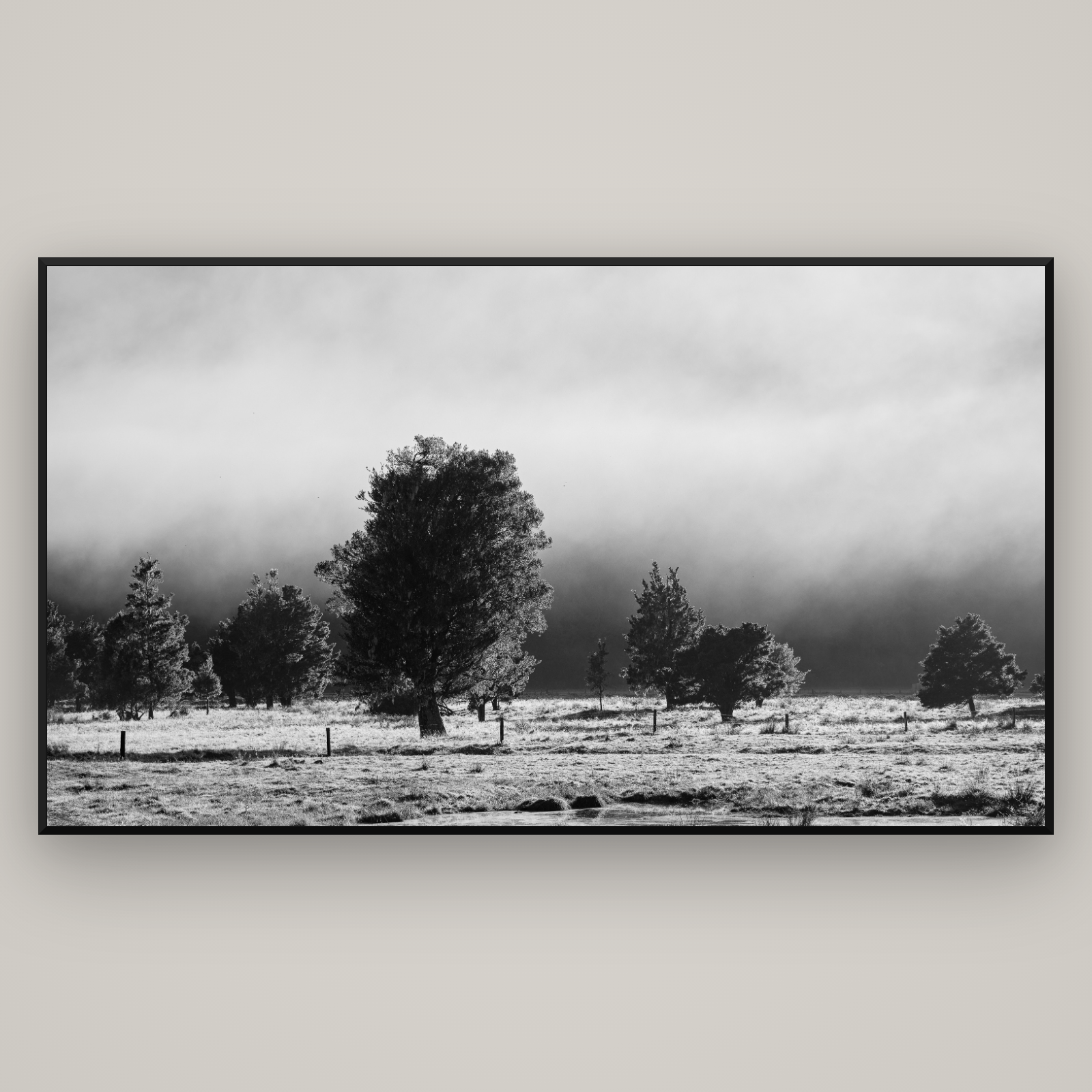 Morning Mist, Fox Valley — Basel Black Matte, 196×110 cm. New Zealand fine art wall art by Stephen Milner.
