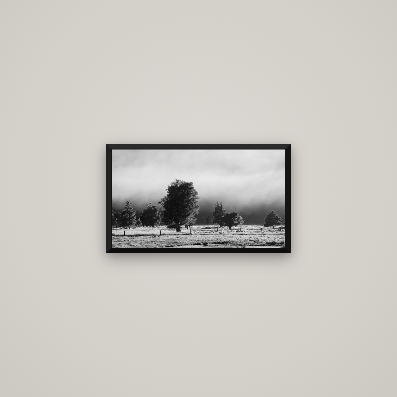 Morning Mist, Fox Valley — Basel Black Matte, 53×30 cm. New Zealand fine art wall art by Stephen Milner.
