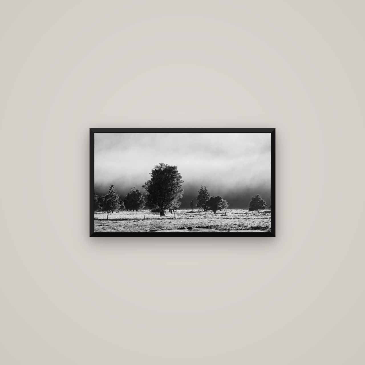 Morning Mist, Fox Valley — Basel Black Matte, 64×36 cm. New Zealand fine art wall art by Stephen Milner.