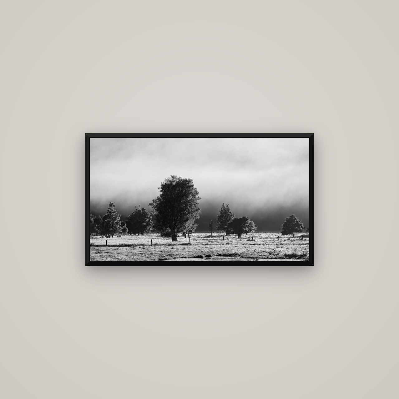 Morning Mist, Fox Valley — Basel Black Matte, 80×45 cm. New Zealand fine art wall art by Stephen Milner.