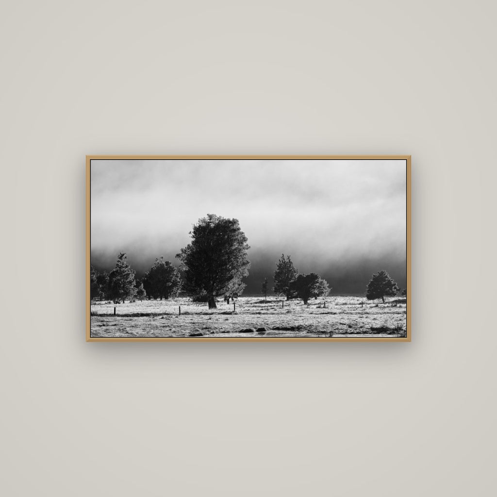 Morning Mist, Fox Valley, Basel Natural Oak, 107×60 cm. New Zealand fine art wall art by Stephen Milner.