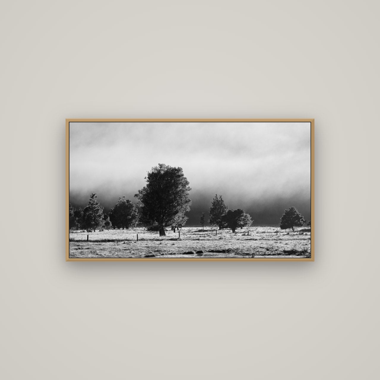 Morning Mist, Fox Valley, Basel Natural Oak, 107×60 cm. New Zealand fine art wall art by Stephen Milner.