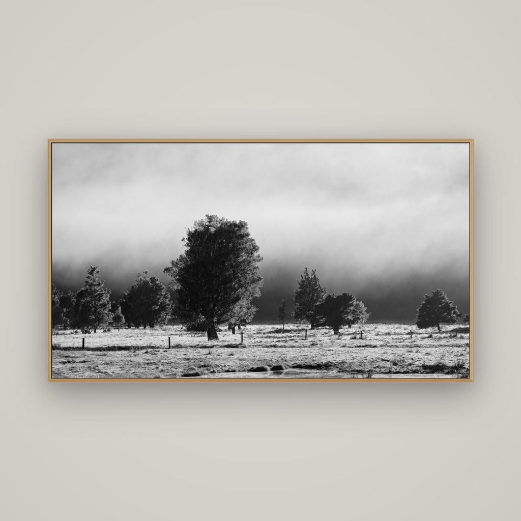 Morning Mist, Fox Valley, Basel Natural Oak, 160×90 cm. New Zealand fine art wall art by Stephen Milner.