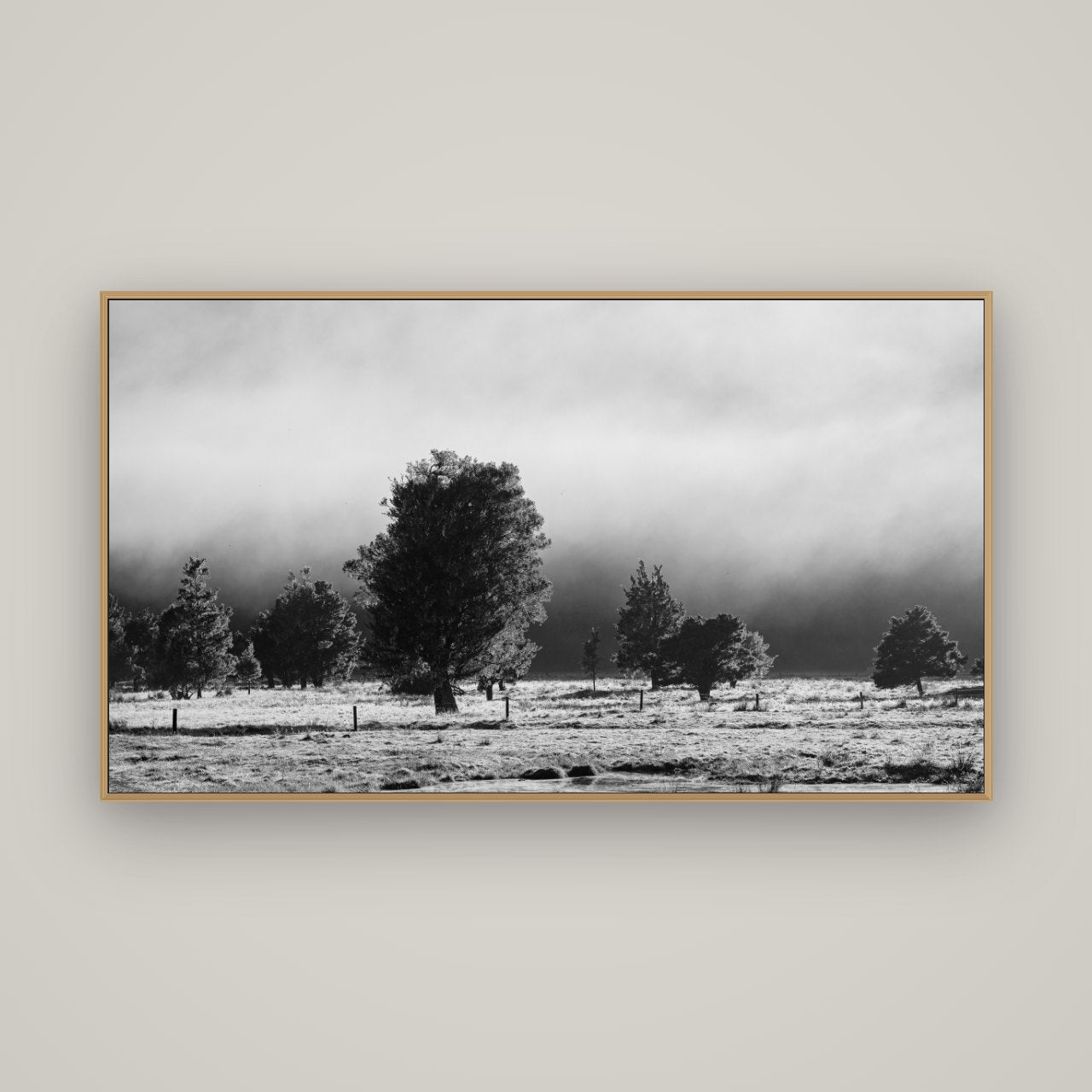 Morning Mist, Fox Valley, Basel Natural Oak, 160×90 cm. New Zealand fine art wall art by Stephen Milner.