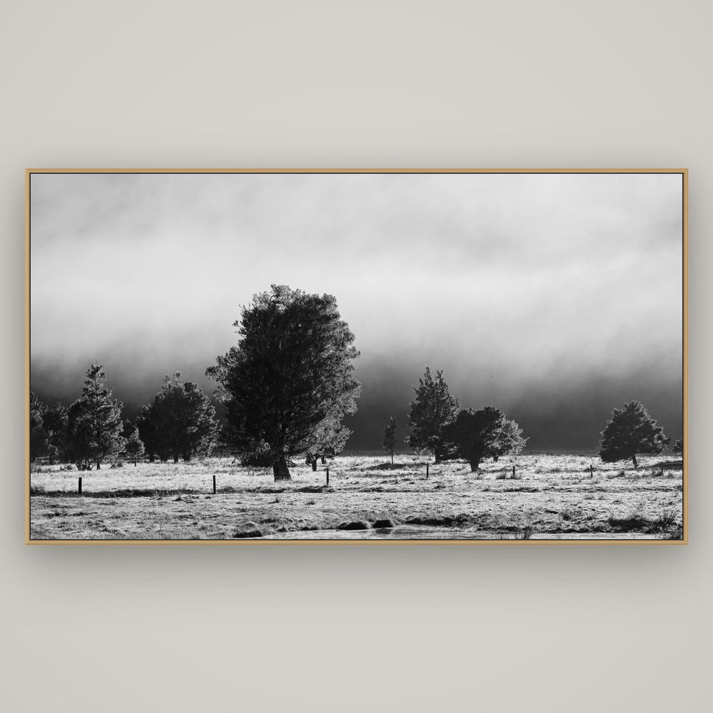 Morning Mist, Fox Valley, Basel Natural Oak, 196×110 cm. New Zealand fine art wall art by Stephen Milner.