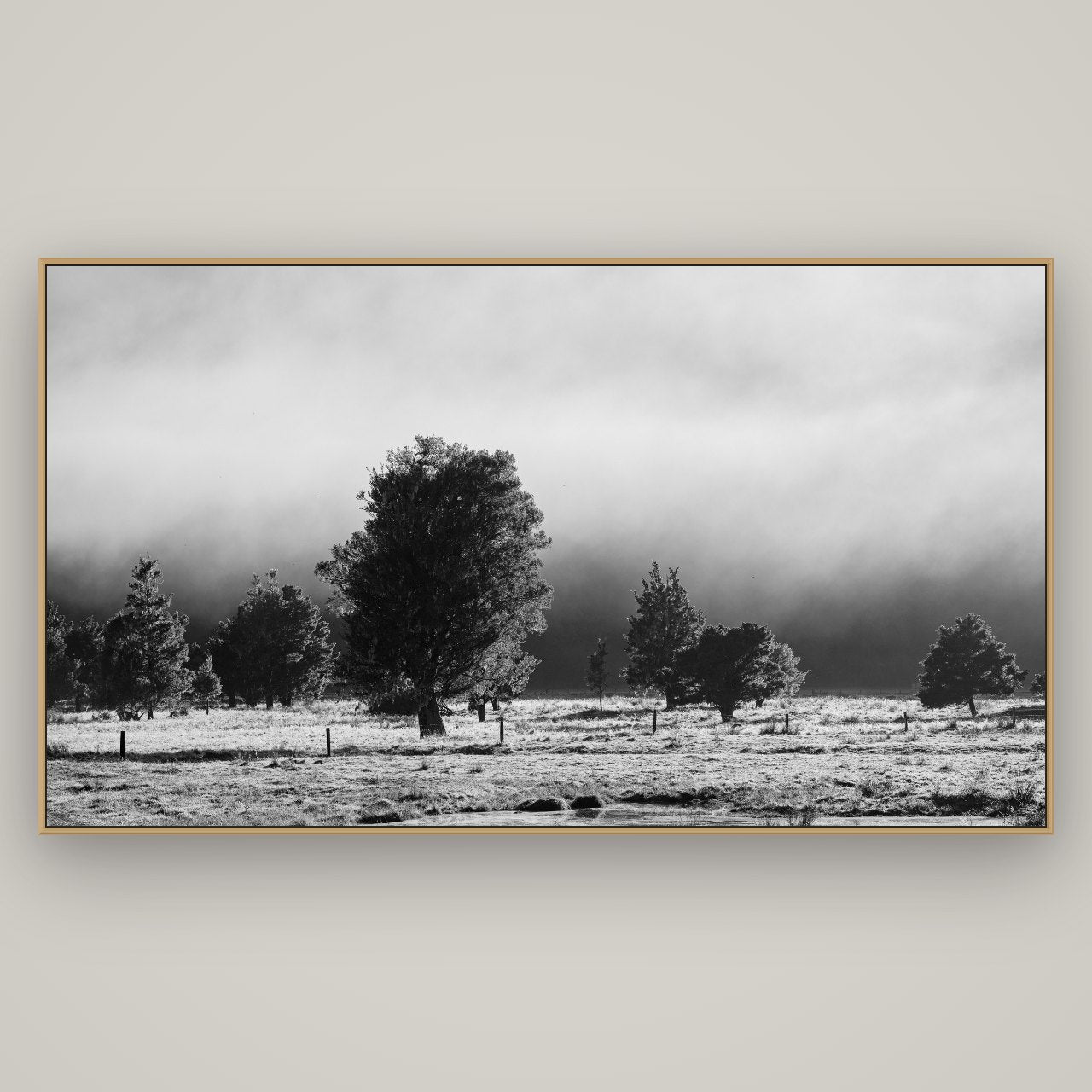 Morning Mist, Fox Valley, Basel Natural Oak, 196×110 cm. New Zealand fine art wall art by Stephen Milner.