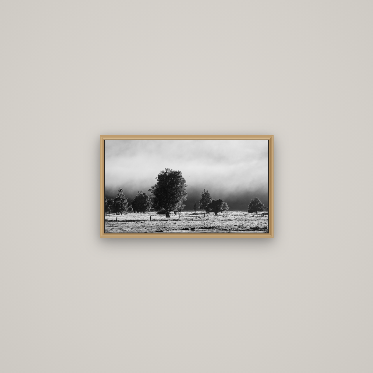 Morning Mist, Fox Valley, Basel Natural Oak, 53×30 cm. New Zealand fine art wall art by Stephen Milner.