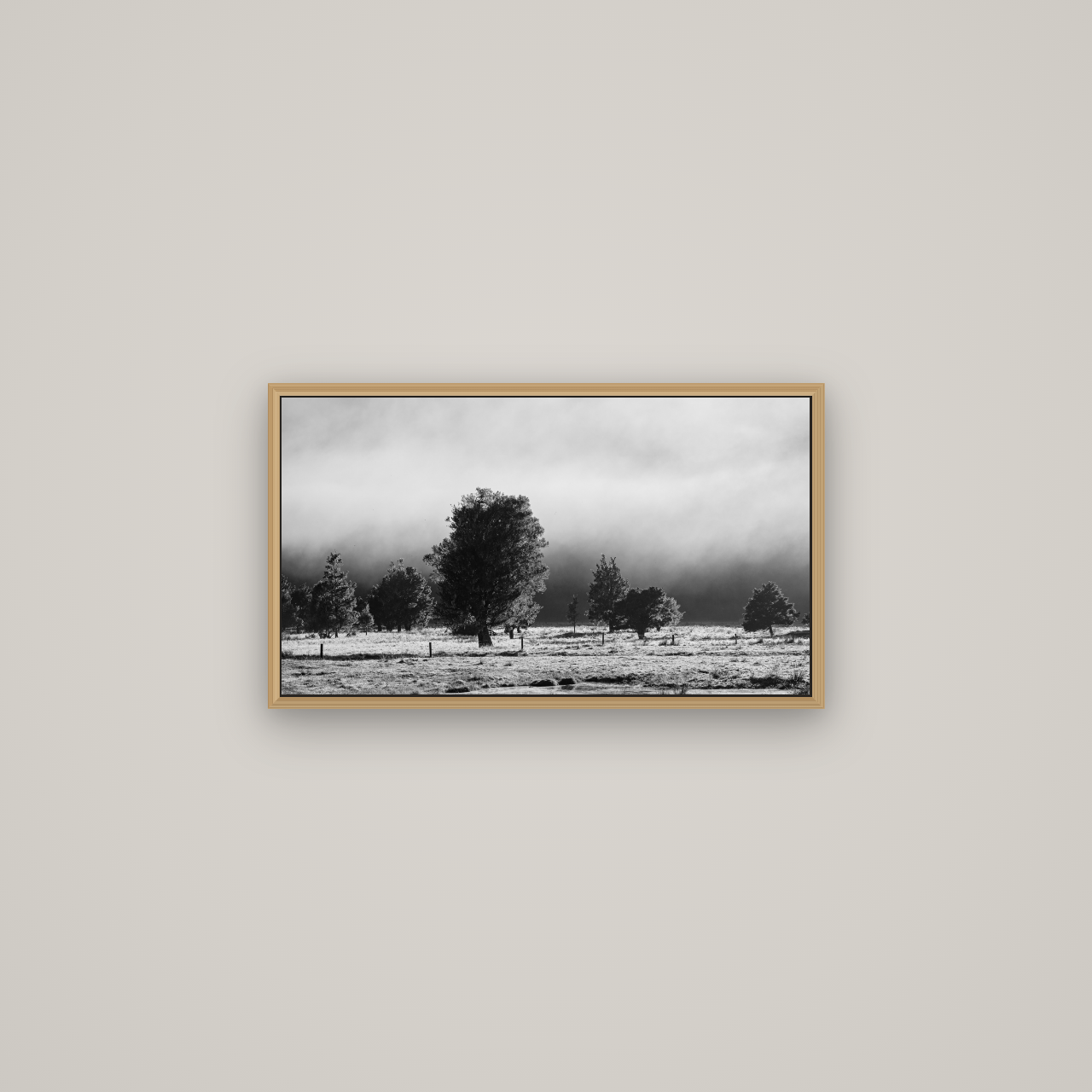 Morning Mist, Fox Valley, Basel Natural Oak, 64×36 cm. New Zealand fine art wall art by Stephen Milner.