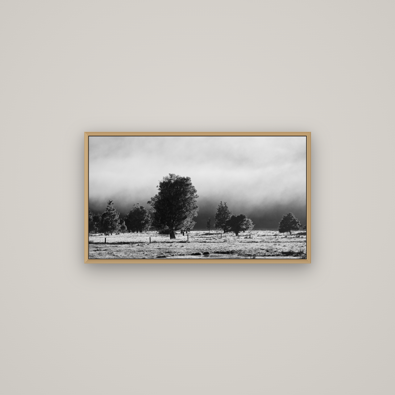 Morning Mist, Fox Valley, Basel Natural Oak, 80×45 cm. New Zealand fine art wall art by Stephen Milner.